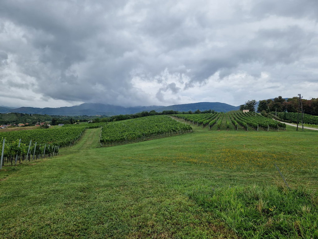 Jastrebarsko, građevinsko zemljište 3000m2 na prodaju